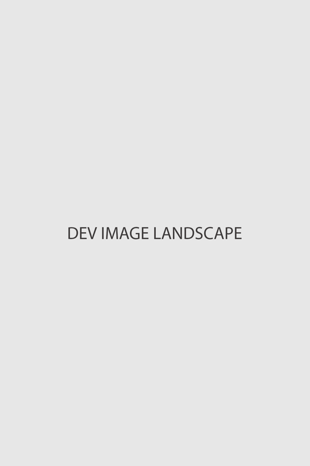 dev-landscape.png