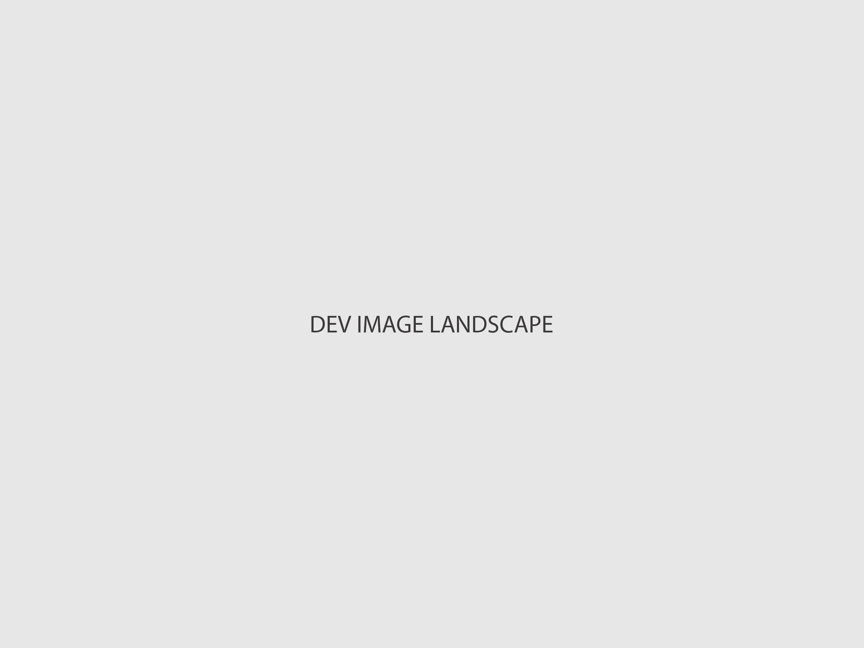 dev-landscape.png